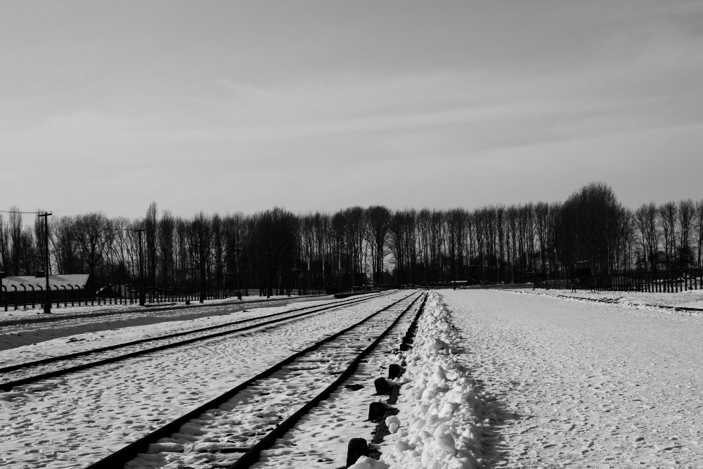 Link: Mors Vincit Omnia by Wilbur Nelson. Image: B&W photo of the tracks at Auschwitz