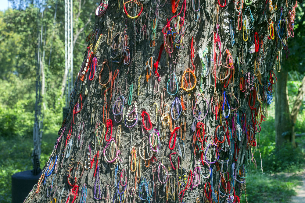 Link: The Chankiri Tree by Poppy Volk-Loone. Image: Image: The Killing Tree - In the Killing Fields, life and death were cheap - this is the tree where they killed the children, to save bullets. Sourced from Wikimedia:https://commons.wikimedia.org/wiki/File:Killing_Tree_(15446480934).jpg