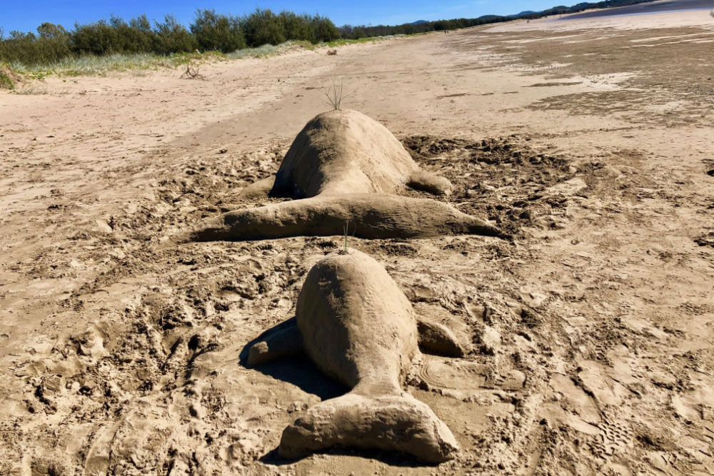 Link: The Whales by Penelope Robson. Image: Sand Sculptures - A mother whale and her calf