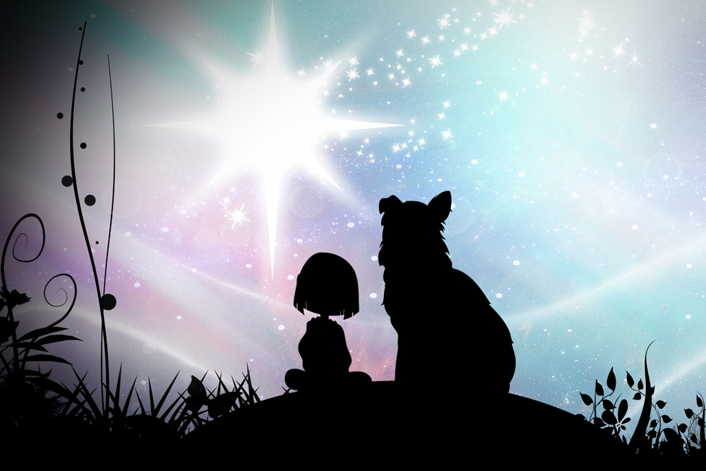 Link: Before the Dawn by Lauren O'Daly, Daramalan College.  Image: A girl looking at the night sky with a dog beside her. 
