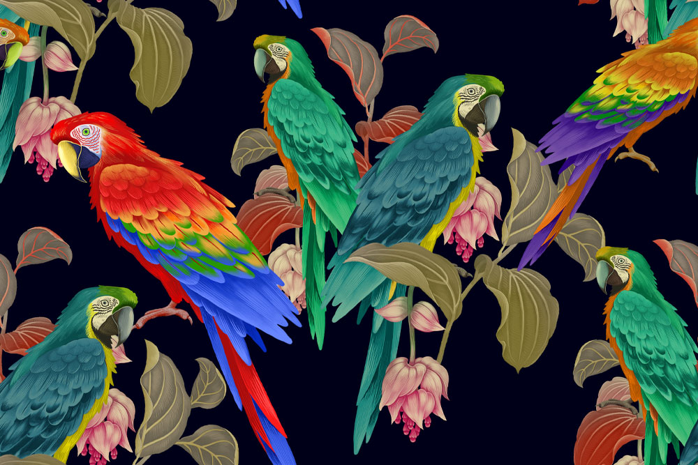 Crosscut Macaws by Serena Drury, Canberra College. Image: A group of Macaws.